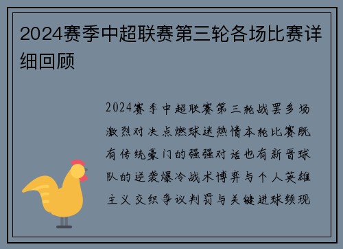2024赛季中超联赛第三轮各场比赛详细回顾